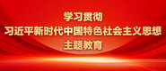 男生将屌插进女生阴道里面的在线视频下载网站学习贯彻习近平新时代中国特色社会主义思想主题教育_fororder_ad-371X160(2)